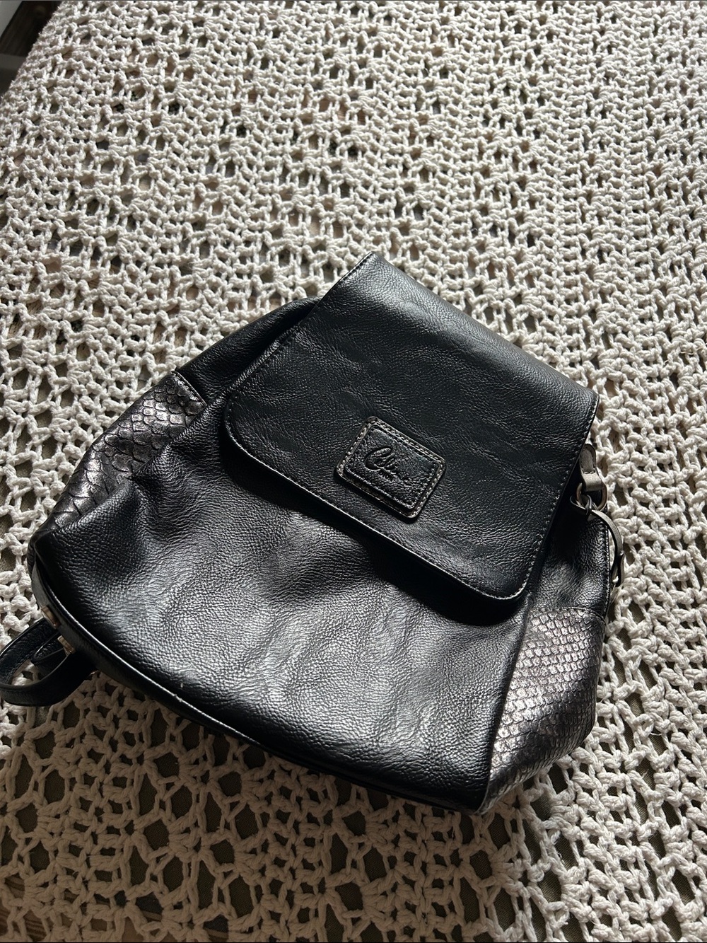 Celine Dion Leather Backpack Bag